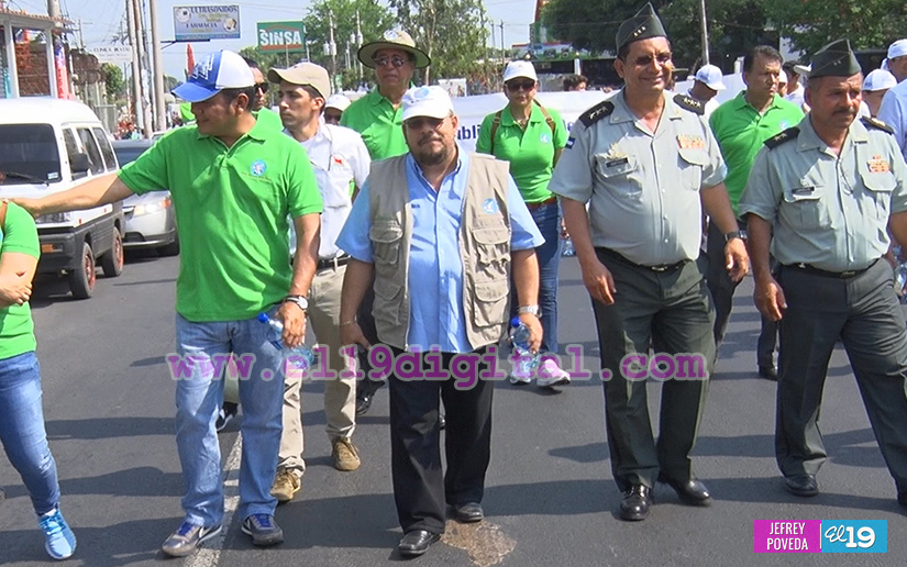 feeria_tierra